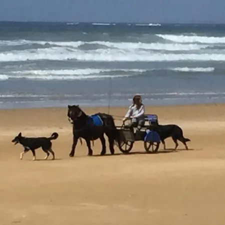 Appt T2 Proche Plage Plouharnel Buitenkant foto